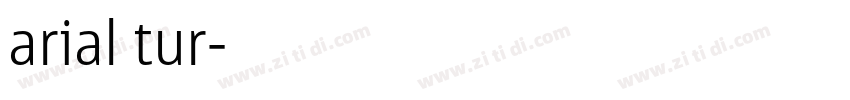 arial tur字体转换